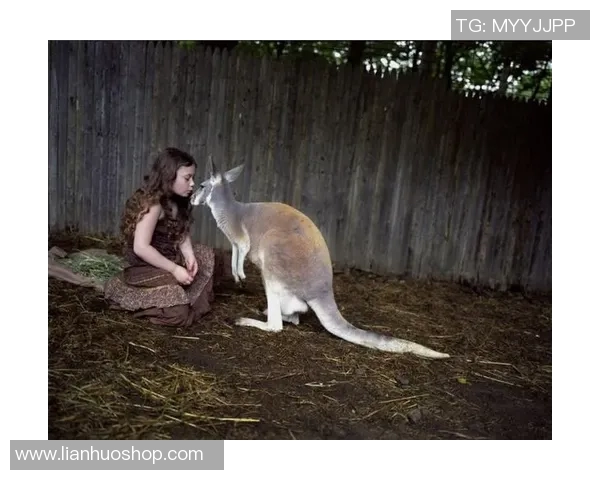 足球明星与场上动物的奇妙互动与友谊故事